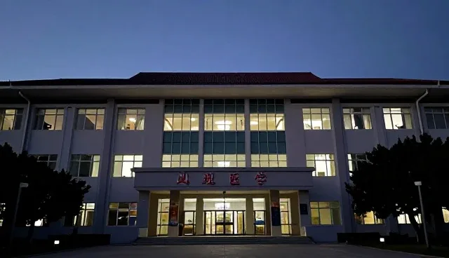 性能优化中的常见误区及处理方向，如何提升技术服务质量